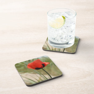 Rode papaver Onderzetters