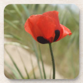Rode papaver Onderzetters (Voorkant)
