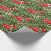 Rode papaver op El Camino Cadeaupapier (Hoek)