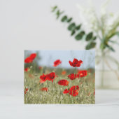 rode papaver op het veld briefkaart (Staand voorkant)