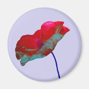 Rode papaver op pastel paars lila magneet