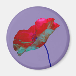 Rode papaver op warm paars magneet