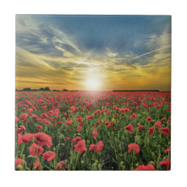 Rode papaver op zonsondergang tegeltje