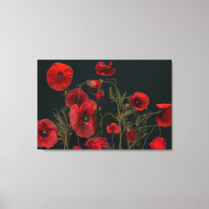 Rode papaver op zwart canvas afdruk