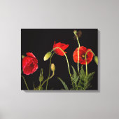 Rode papaver op zwart canvas afdruk (Voorkant)
