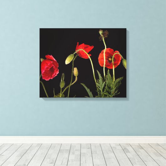Rode papaver op zwart canvas afdruk (Insitu (Houten vloer))