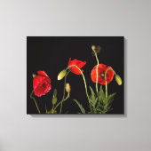 Rode papaver op zwart canvas afdrukken (Voorkant)