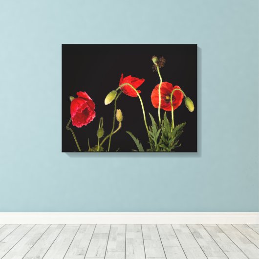 Rode papaver op zwart canvas afdrukken (Insitu (Houten vloer))