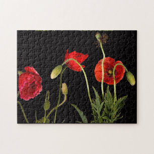 Rode papaver op zwart legpuzzel