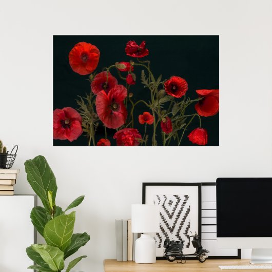 Rode papaver op zwart poster (Thuiskantoor)