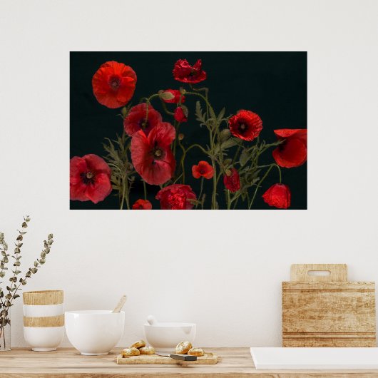 Rode papaver op zwart poster (Keuken)