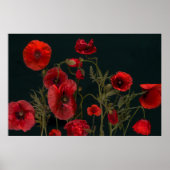 Rode papaver op zwart poster (Voorkant)