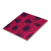 Rode papaver, papaver tegeltje (Zijkant)