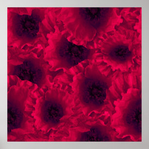 Rode papaver poster