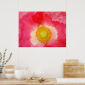 Rode papaver prints Oriental Poppy Flowers (Keuken)