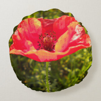 Rode papaver rond kussen