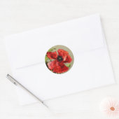  rode papaver ronde sticker (Envelop)