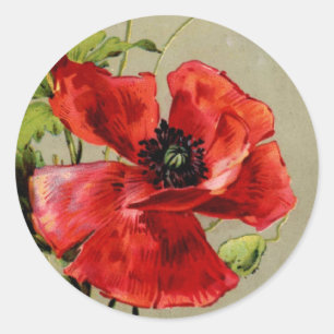 rode papaver ronde sticker