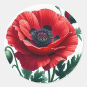 rode papaver ronde sticker (Voorkant)