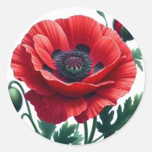 rode papaver ronde sticker (Voorkant)