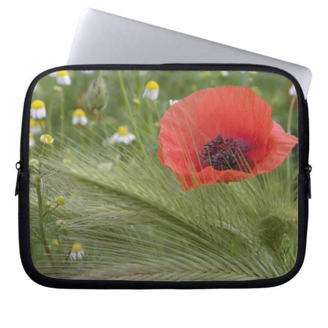 Rode papaver, Toscane, Italië Laptop Sleeve (Voorkant)
