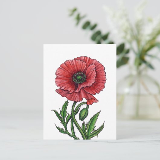Rode papaver, waterverf en inkt briefkaart (Staand voorkant)