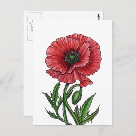 Rode papaver, waterverf en inkt briefkaart (Voorkant / Achterkant)