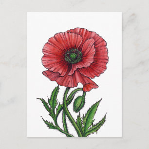 Rode papaver, waterverf en inkt briefkaart