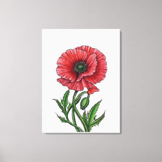 Rode papaver, waterverf en inkt canvas afdruk (Voorkant)