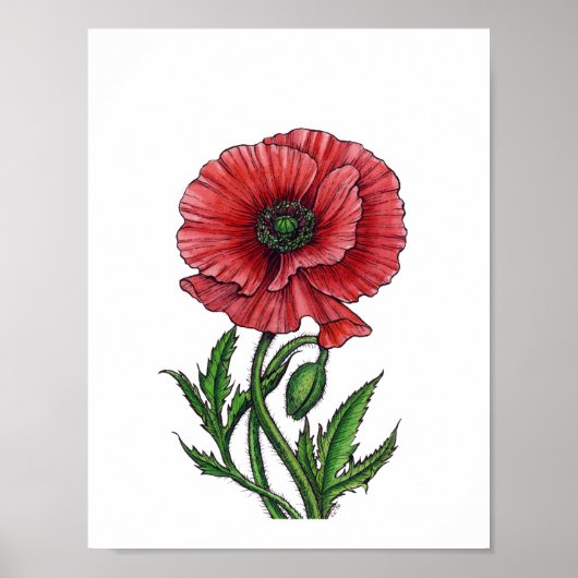 Rode papaver, waterverf en inkt poster (Voorkant)