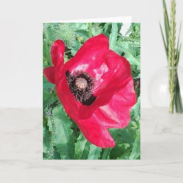Rode Papaver x het Wenskaart van 2 Foto's Kaart