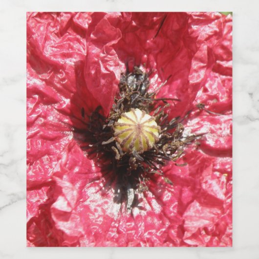  rode papaverbloem Macro Wine Fleslabels Wijn Etiket (Enkel label)