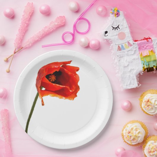 Rode papaverbloem papieren bordje (Feest)