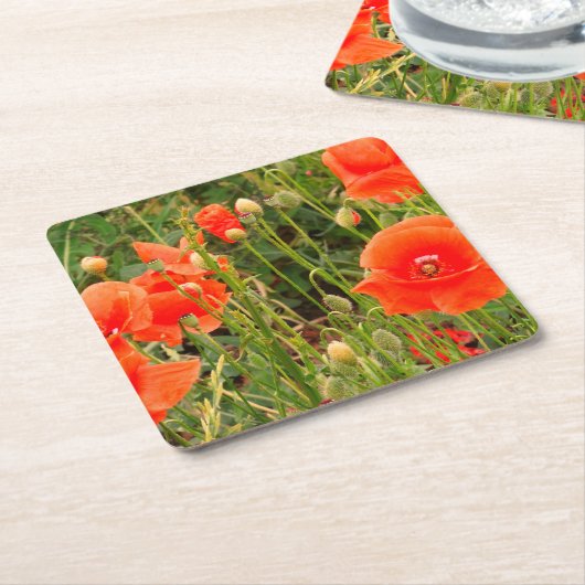 Rode papaverbloemen, aangepaste Onderzetters (Schuin)