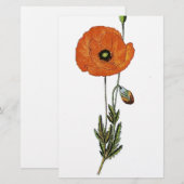 Rode papavers —  botanische afdruk briefpapier (Voorkant / Achterkant)