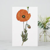 Rode papavers —  botanische afdruk briefpapier (Staand voorkant)