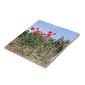 Rode papavers en wijnstokken tegeltje (Zijkant)