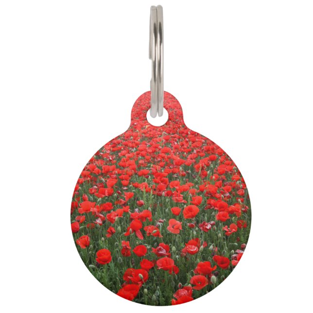 Rode papavers huisdierpenning (Voorkant)