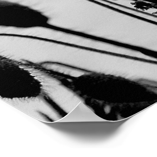 Rode papavers in het Poster van het Gebied Druk (Hoek)