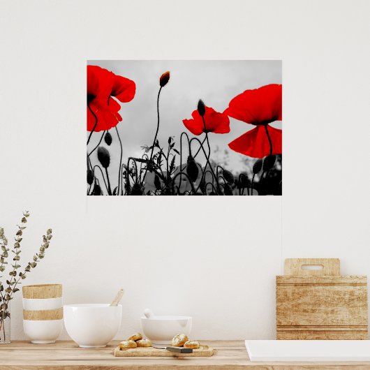 Rode papavers in het Poster van het Gebied Druk (Keuken)