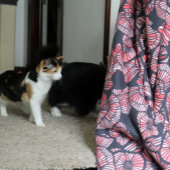 Rode papavers Rode bloemen zomertuin Sherpa Deken