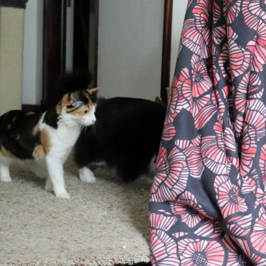 Rode papavers Rode bloemen zomertuin Sherpa Deken