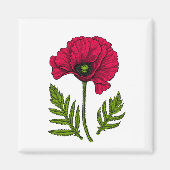 Rode papavertekening 3 magneet (Voorkant)