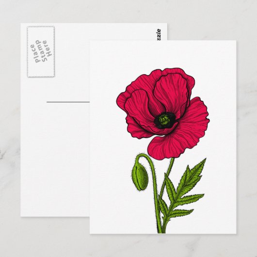 Rode papavertekening briefkaart (Voorkant / Achterkant)