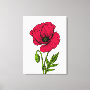 Rode papavertekening canvas afdruk