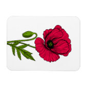 Rode papavertekening magneet (Horizontaal)