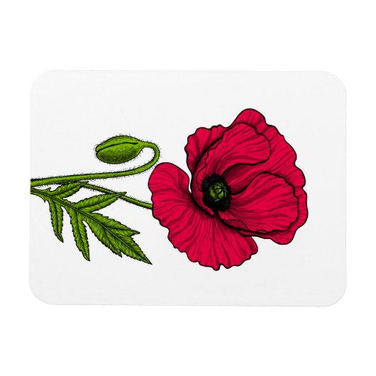 Rode papavertekening magneet (Horizontaal)