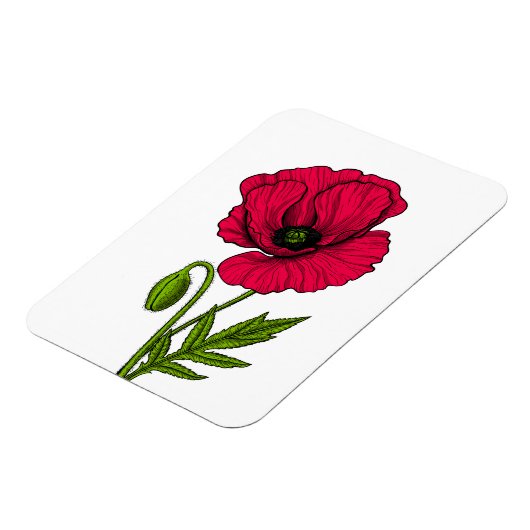 Rode papavertekening magneet (Linkerzijde)