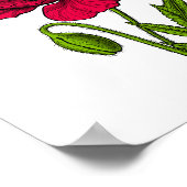 Rode papavertekening poster (Hoek)