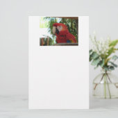 rode papegaai briefpapier (Staand voorkant)